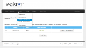 how-do-i-register-a-domain-within-my-client-area